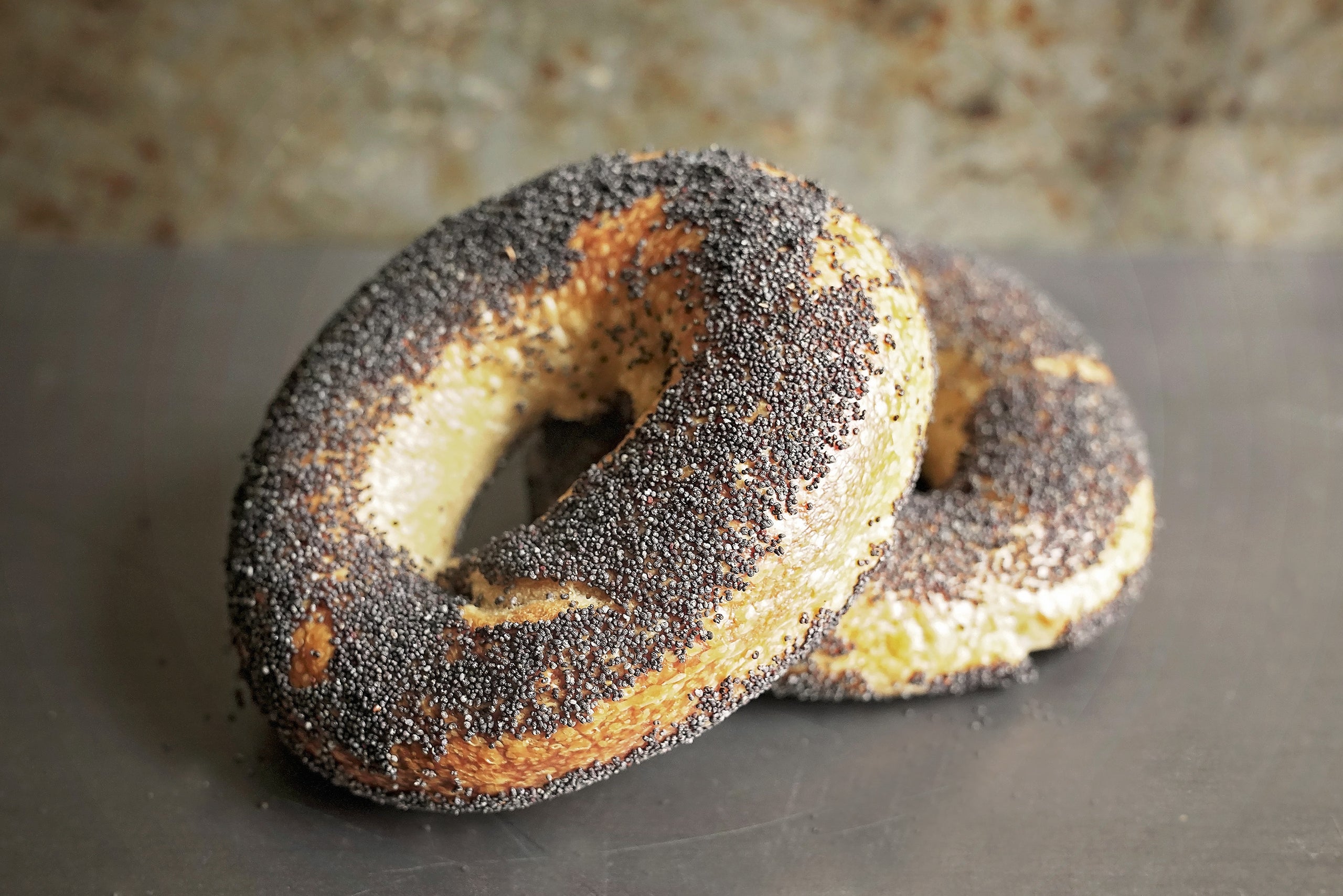 Poppy Seed Bagel Macrina Bakery